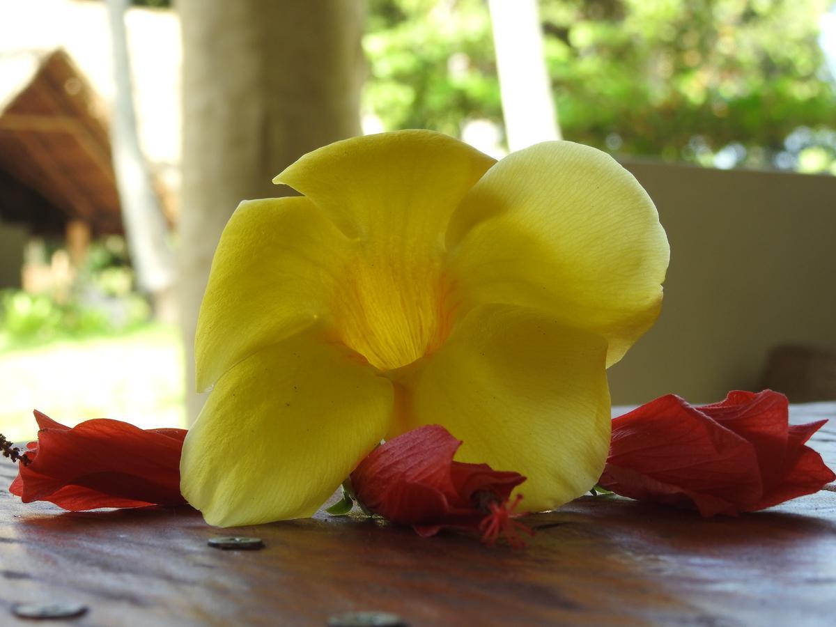Mafia Kivulini Lodge Mafia Island Ngoại thất bức ảnh